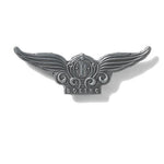 Boeing - Boeing Stylized Wings Pin