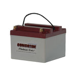 Concorde - General Aviation AGM Aircraft Battery, 24v | RG24-16