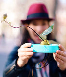 AvoSeedo - Avocado Seed Incubator